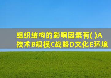 组织结构的影响因素有( )A技术B规模C战略D文化E环境